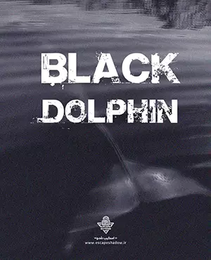 اسکیپ روم دلفین سیاه